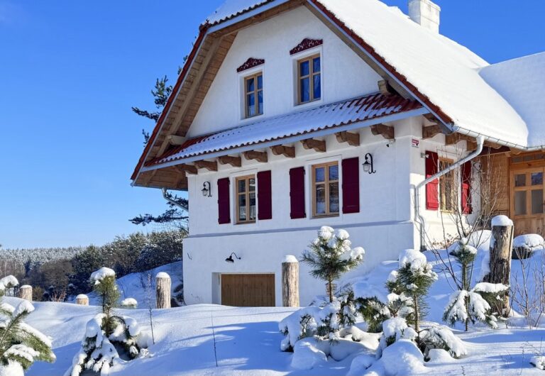 IMAGE 2026-02-10 12:59:27